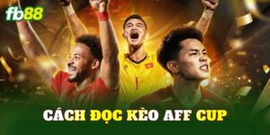 Cách Đọc Kèo AFF Cup